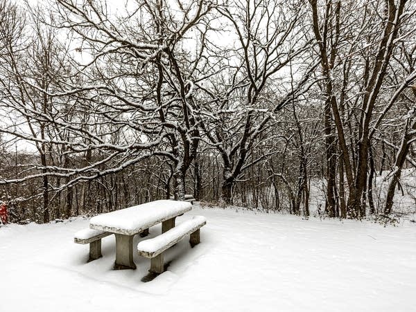 Picnic tables are situated 