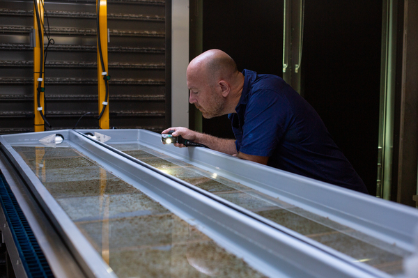 Research aquarist Andrea Severati peers at large sheets over which coral larvae were released to settle. Once corals have picked their spot, each will be assessed for coral growth and survival.