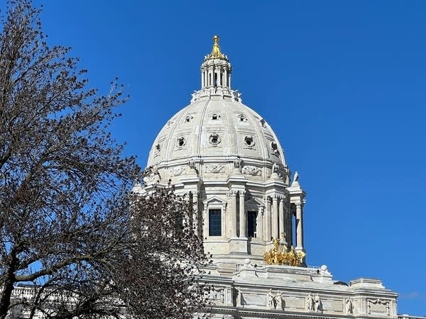 The Minnesota Capitol-8