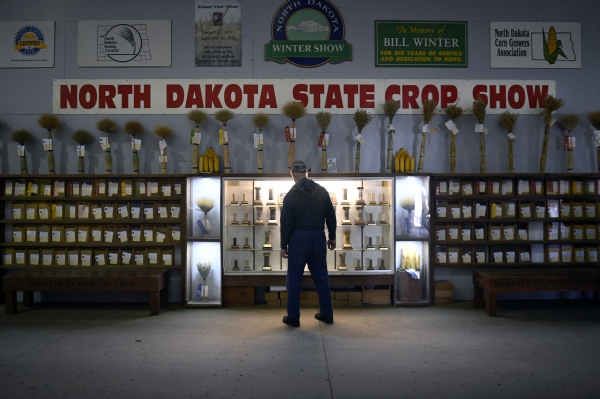 VALLEY CITY, ND - March 07, 2025: Entries in the annual North Dakota State Crop Show competition on display at the 88th annual Winter Show in Valley City, ND. North Dakota farmers are worried about looming tariffs and a possible trade war with China in the coming months.