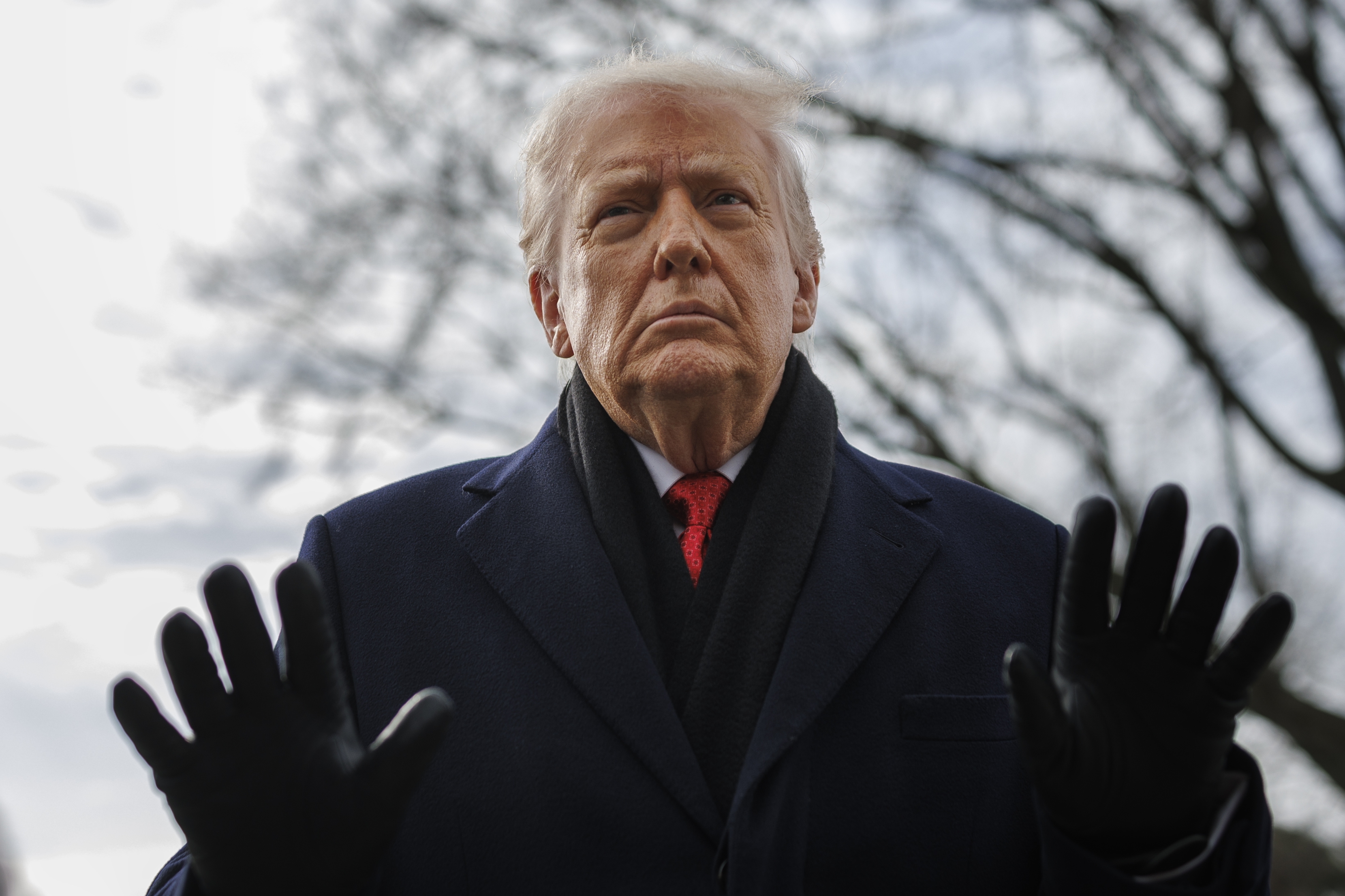 Donald Trump, wearing an overcoat, gloves, and a scarf with a red tie, gestures with both hands; behind him is a winter sky and a leafless tree.