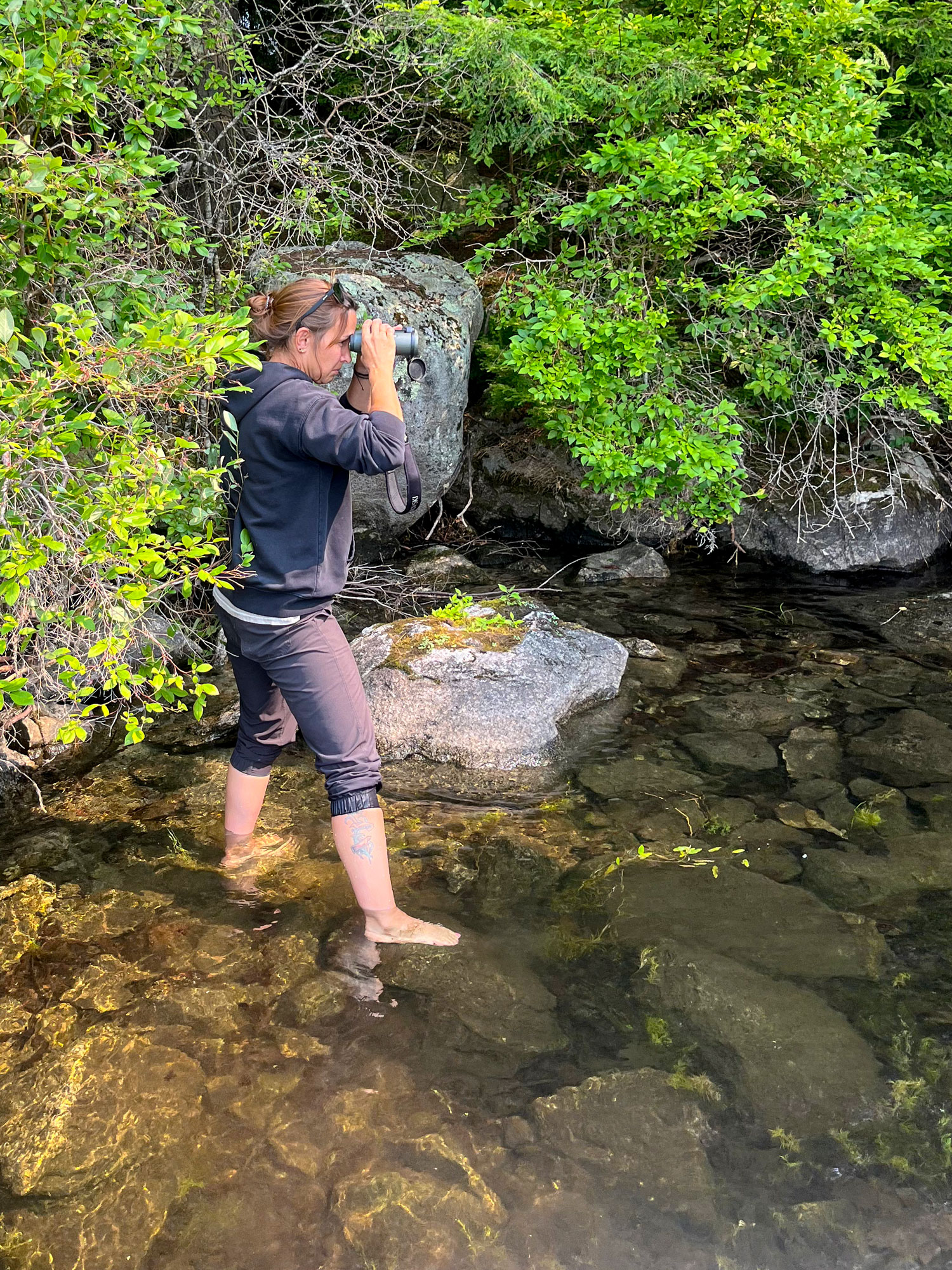 A woman stands in a creek looking through binoculars.