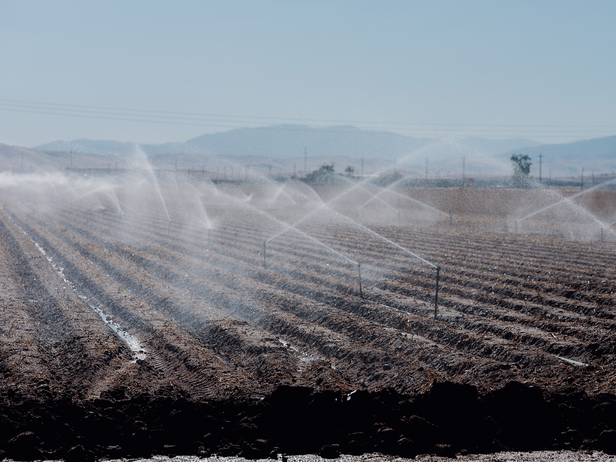 A plowed field with sprinklers watering it.