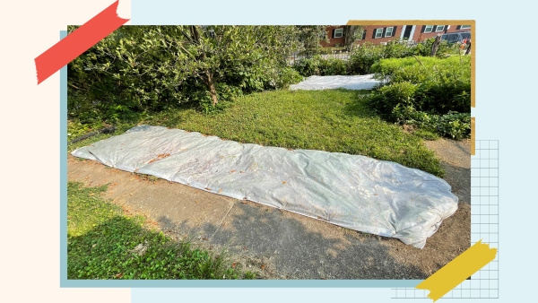 03-LK_Lawn-PickASpot_photo.jpg