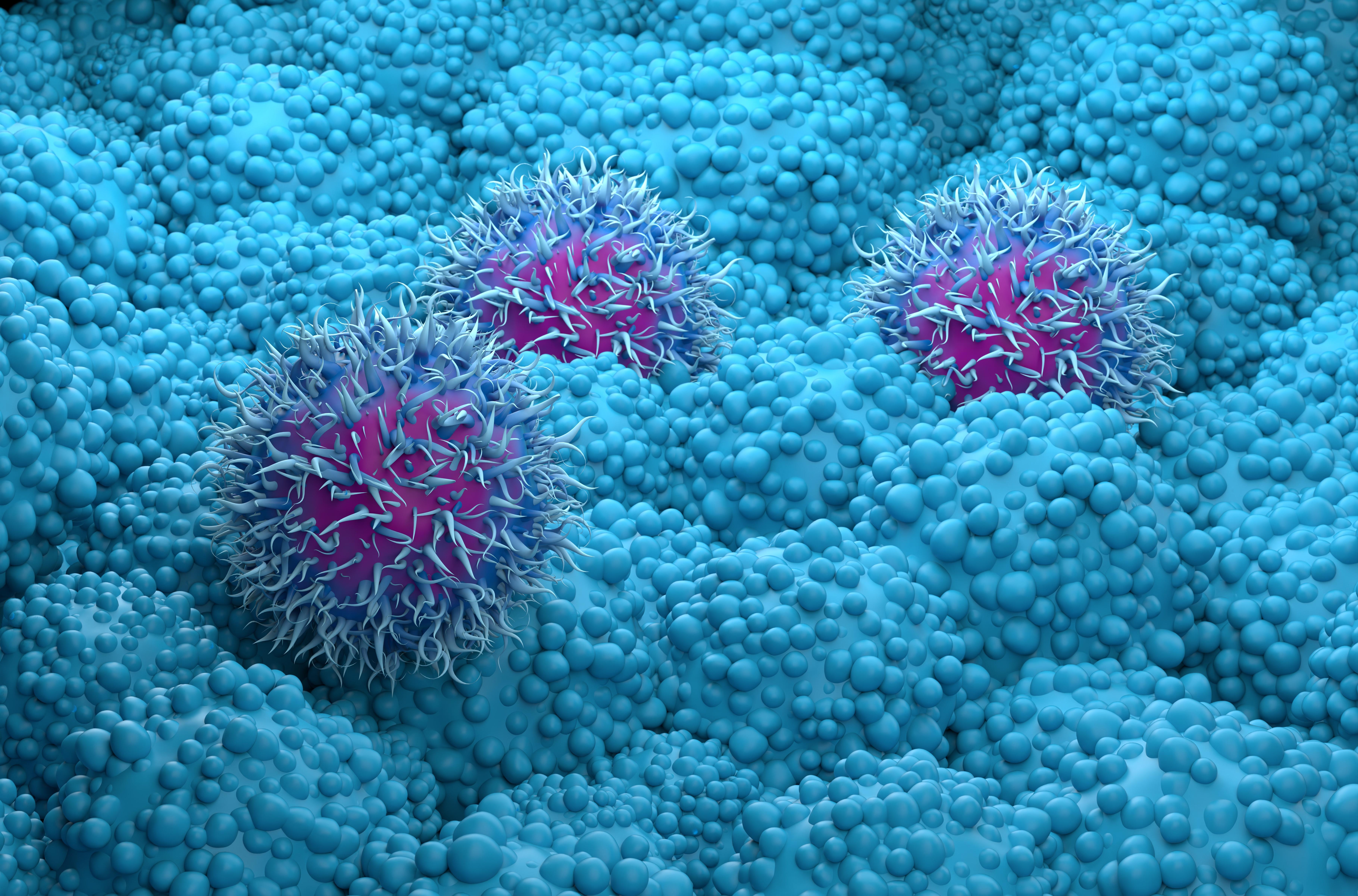 Pancreatic cancer cells