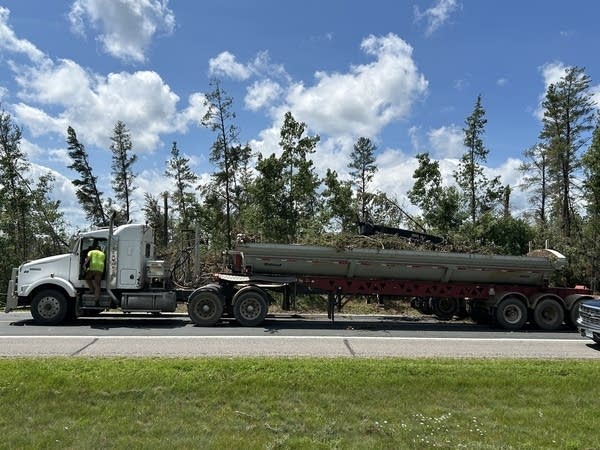 semi truck with tree debris