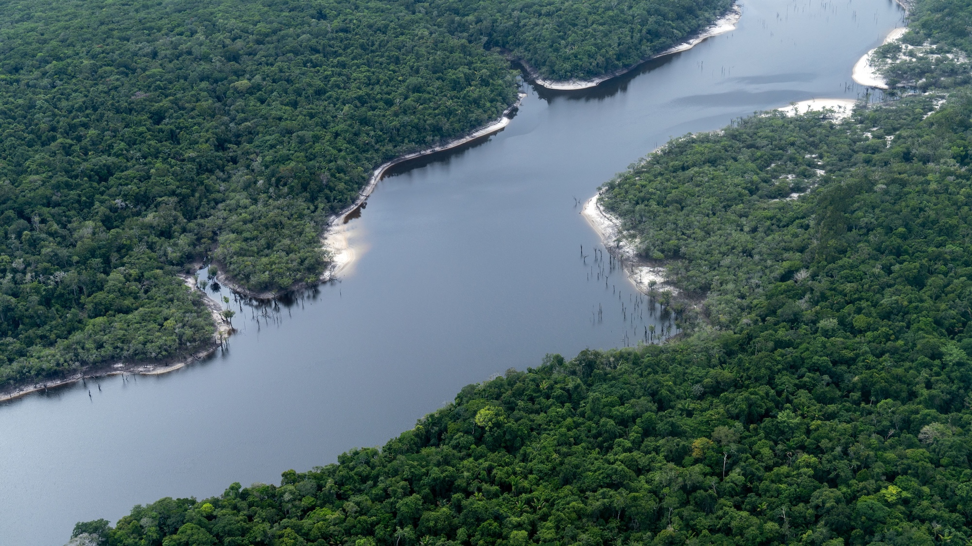 An expanse of water can be seen in the rainforest from a seaplane.