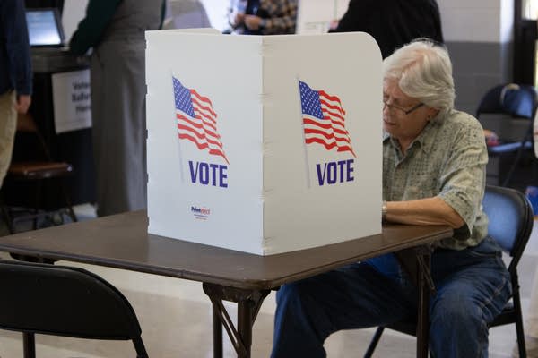 A voter fills out her ballot.